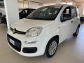 1 FIAT Panda